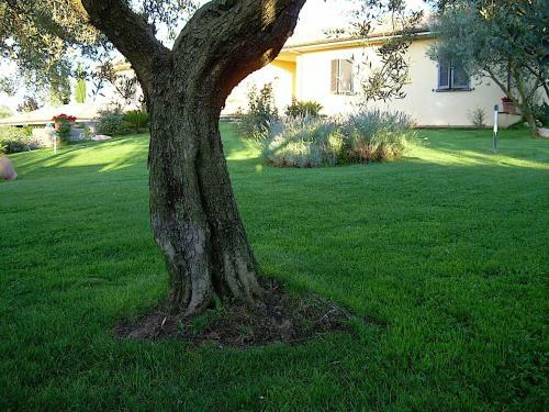 Bed And Breakfast Ellera Viterbo
