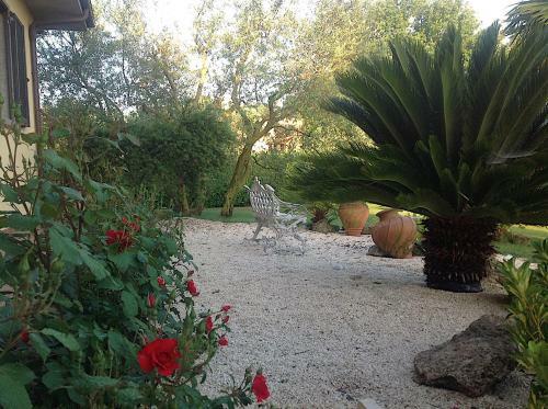 Bed And Breakfast Ellera Viterbo