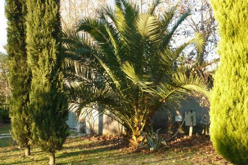 B&B Alle Terme