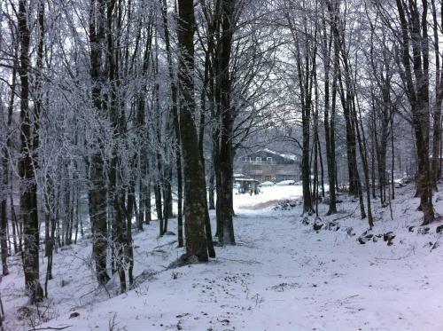 Hotel Albergo Generale Cantore - Monte Amiata