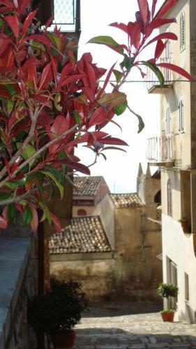 Apartamento Villa Regina