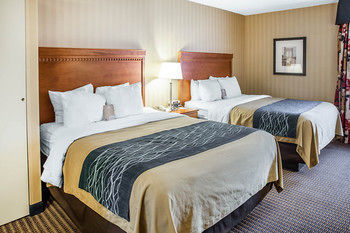 Hotel Comfort Inn Alexandria