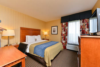 Hotel Comfort Inn Alexandria