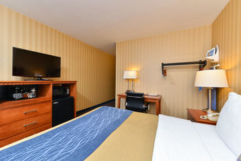 Hotel Comfort Inn Alexandria