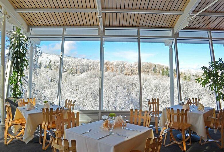 Hotel Aspen Meadows Resort