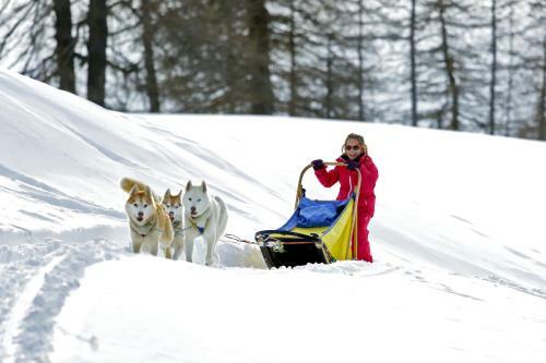 Monchaletsestriere