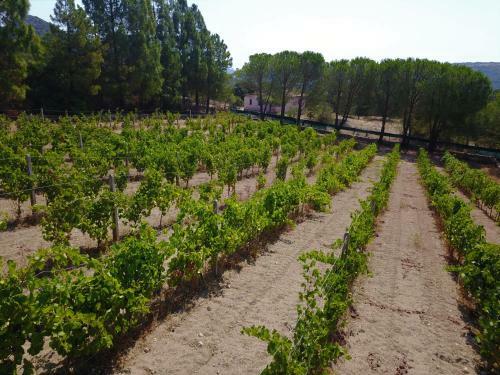 Apartamento Villa Smeralda
