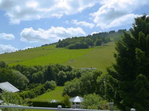 Beautiful Apartment In Willingen With A Balcony