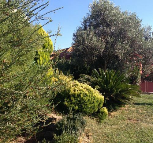 Villa Verde Guest House