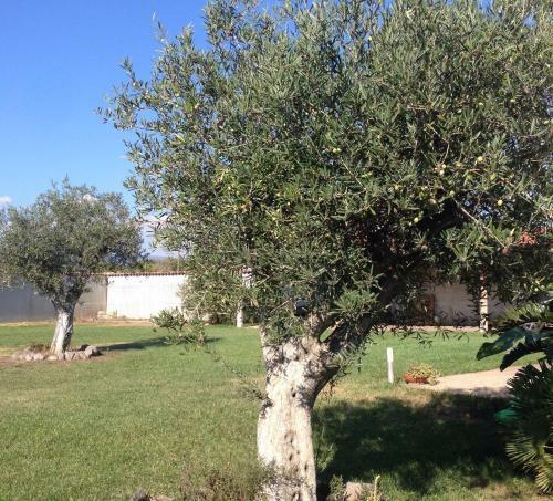 Villa Verde Guest House
