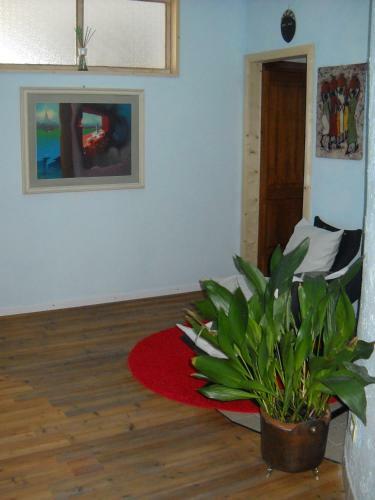 B&B Artemia