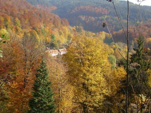 Naturkost-hotel Harz