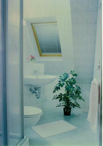 Hostal Hotelpension Schwalbennest