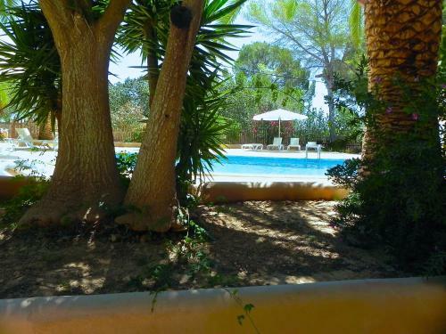 Apartamento Viviendas Tur�sticas Vacacionales Allida