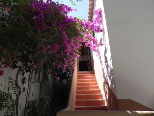 Apartamento Viviendas Tur�sticas Vacacionales Allida