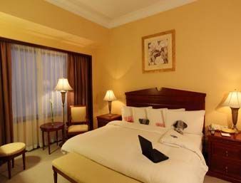 Hotel Howard Johnson Plaza