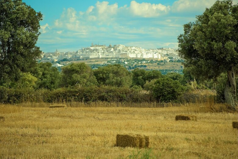 Bed & Breakfast Masseria Palombara Grande