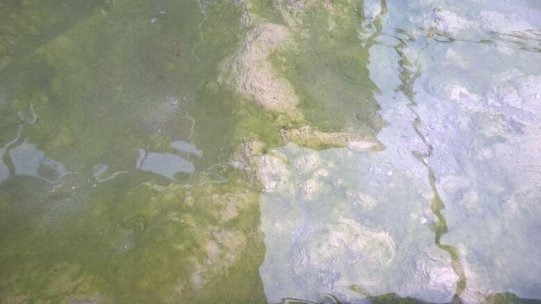 Hotel Terme Belvedere