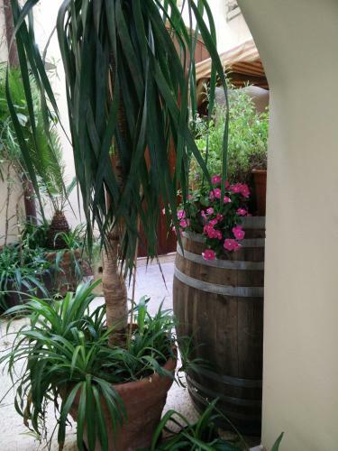 Hotel Locanda Scirocco