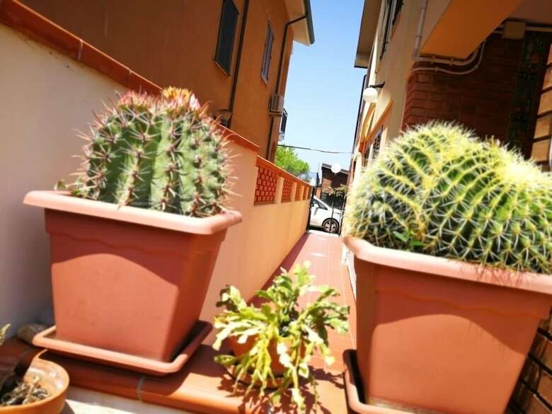 Bed & Breakfast Affittacamere Due Passi E Il Mare