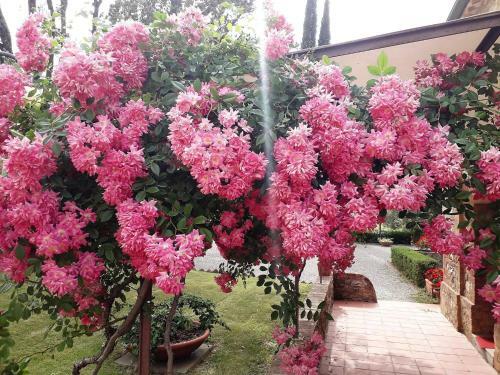 Agroturismo Villa Curina Resort