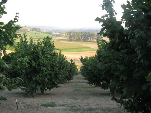 Agroturismo La Locanda Del Nocciolo