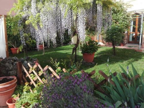 Bed & Breakfast Al Giardino Di Alice