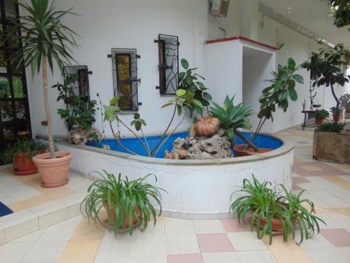 Hotel Call� 2