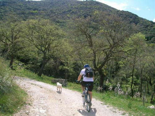 Agroturismo Azienda Agricola Traina