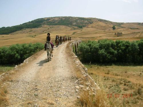 Agroturismo Azienda Agricola Traina