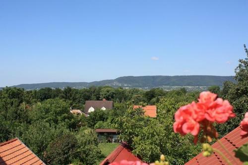 Apartamento Miklai H�z