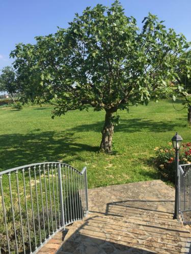 Bed & Breakfast Ca D Gnese Di Stella Angelo