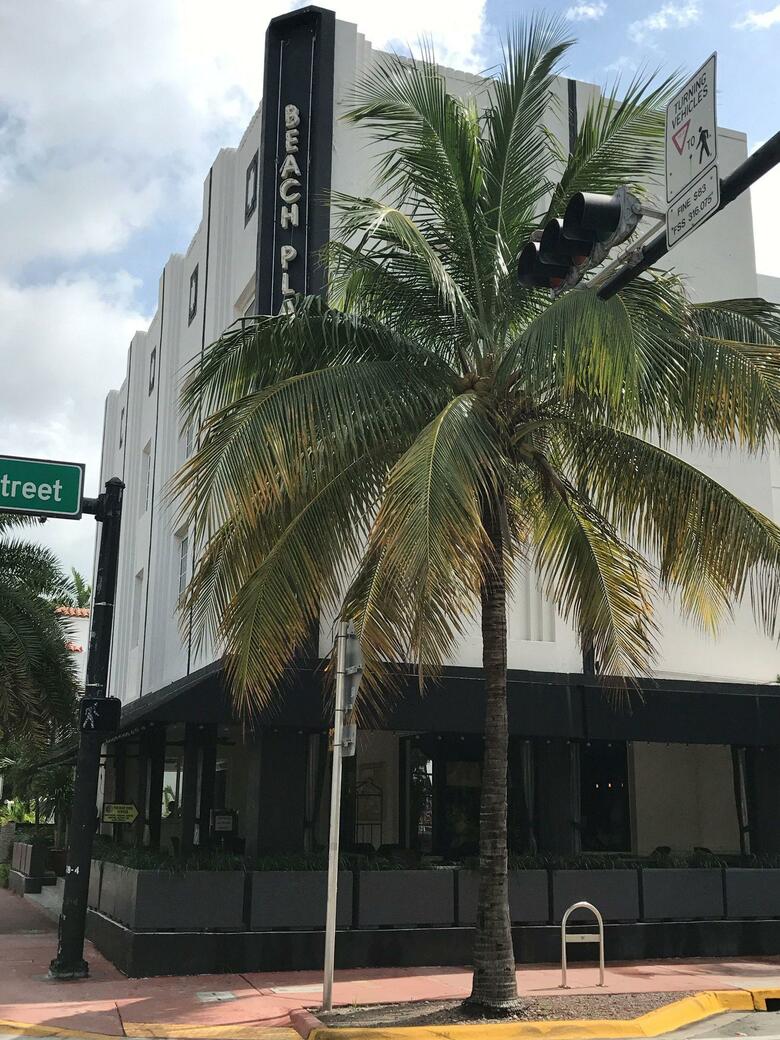 Hotel South Beach Plaza Villas