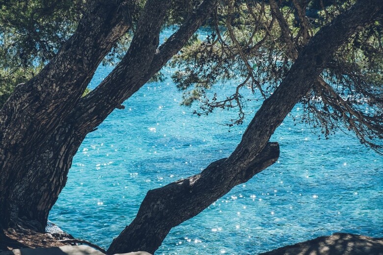 Aparthotel Iberostar Waves Pinos Park