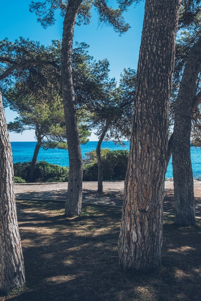 Aparthotel Iberostar Waves Pinos Park