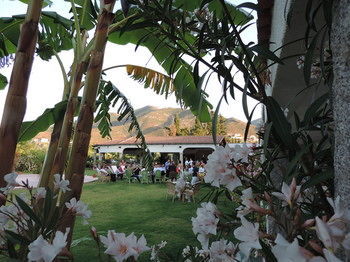Hotel Domu Incantada