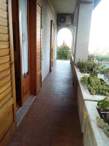 Hotel Il Vigneto - Bed & Breakfast