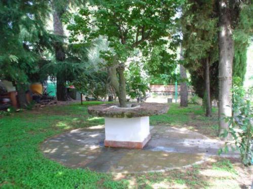 Hotel Il Vigneto - Bed & Breakfast