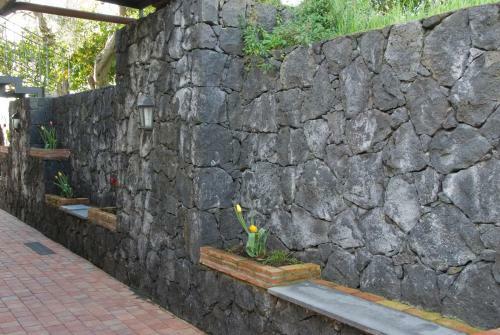 Bed & Breakfast Agriturismo Biologico Dell' Etna