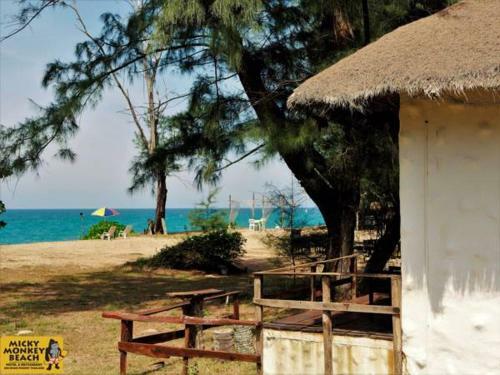 Micky Monkey Beach Hotel