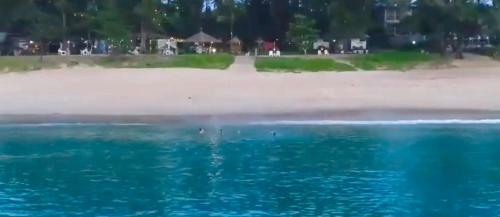 Micky Monkey Beach Hotel