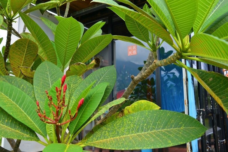 Bed & Breakfast Tong Ju Homestay