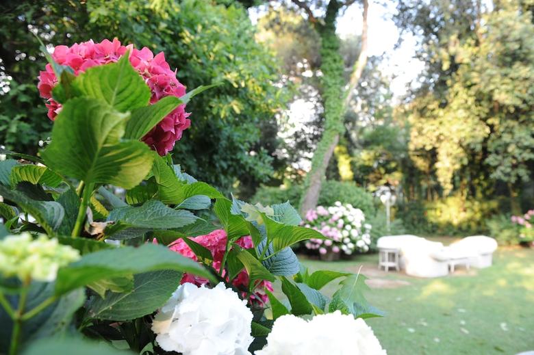 Hotel Villa Maremonti