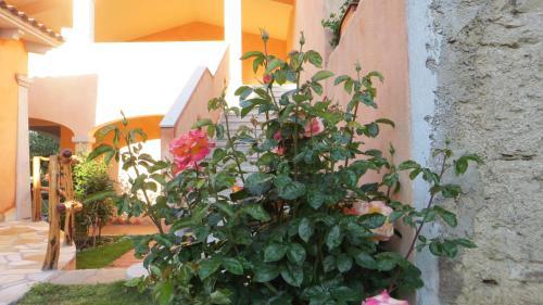 Bed & Breakfast Il Viandante