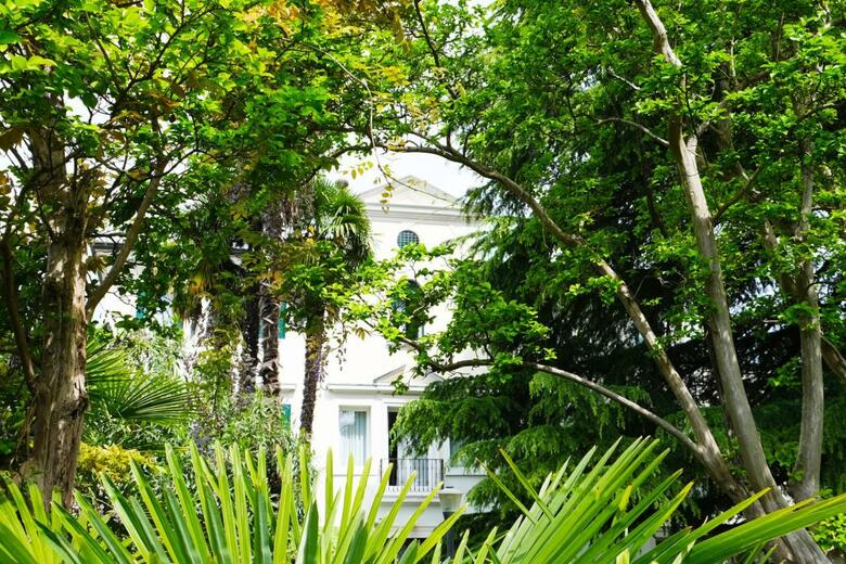 Hotel Ca' Damiani