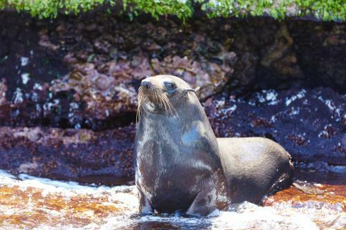 Rottnest Island Authority