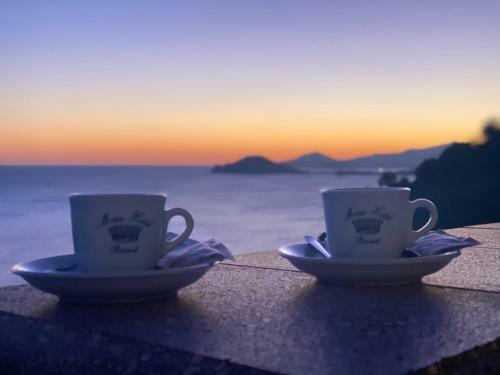 Mini Hotel