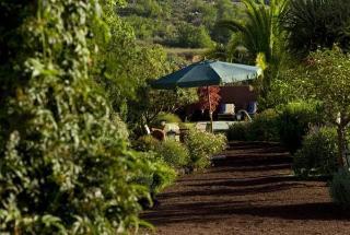 Agroturismo Casa Del Cura Viejo