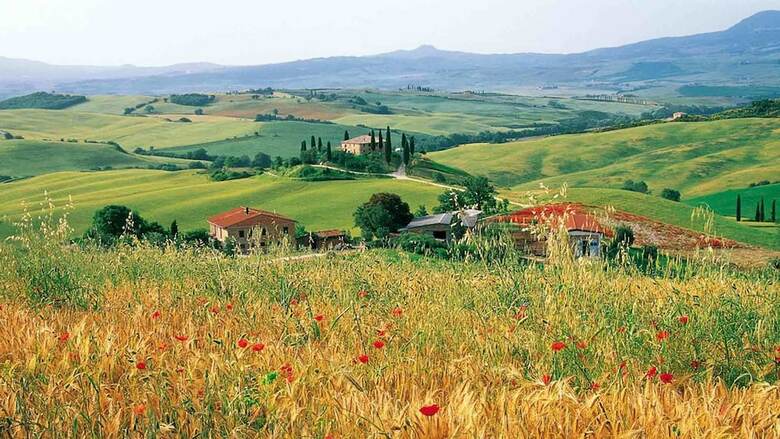 Hotel Adler Thermae Spa & Wellness Resort