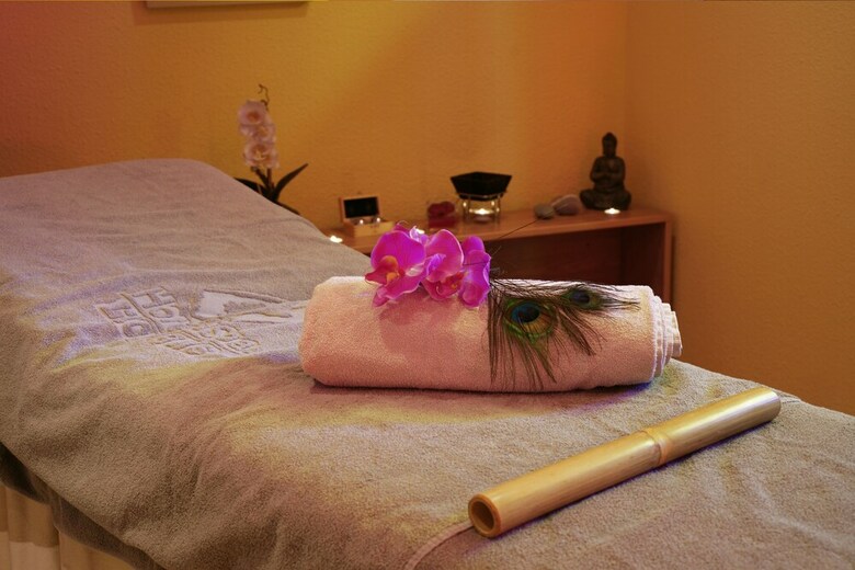 Hotel Llop Gris